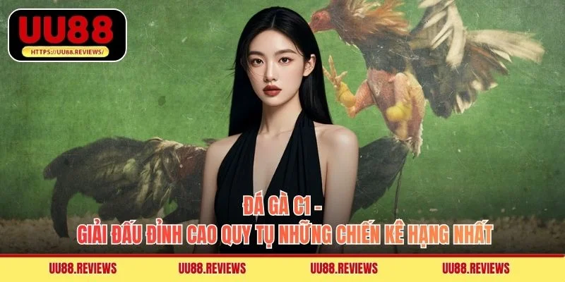 Đá Gà C1 - Giải Đấu Đỉnh Cao Quy Tụ Những Chiến Kê Hạng Nhất