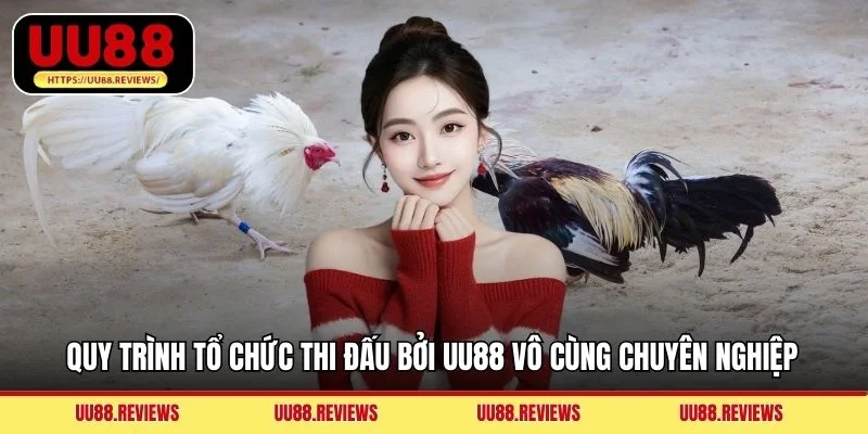 Quy trình tổ chức thi đấu bởi UU88 vô cùng chuyên nghiệp