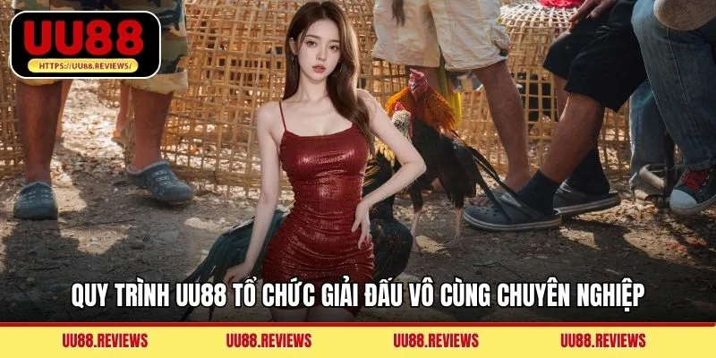 Quy trình UU88 tổ chức giải đấu vô cùng chuyên nghiệp
