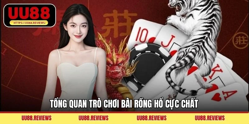 Tổng quan trò chơi bài Rồng Hổ cực chất